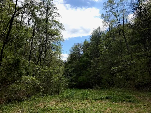 0 Cane Creek Mountain Rd, Tellico Plains, TN 37385