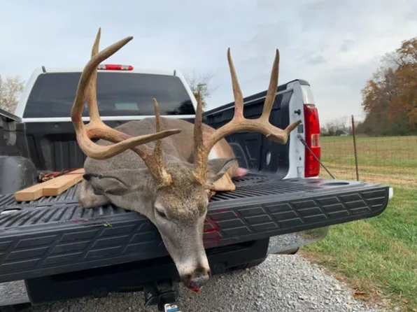 3264 Martin Hollow Rd, Culleoka, TN 38451