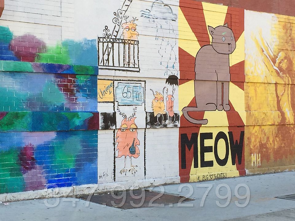 1st image of 852 Rogers Ave