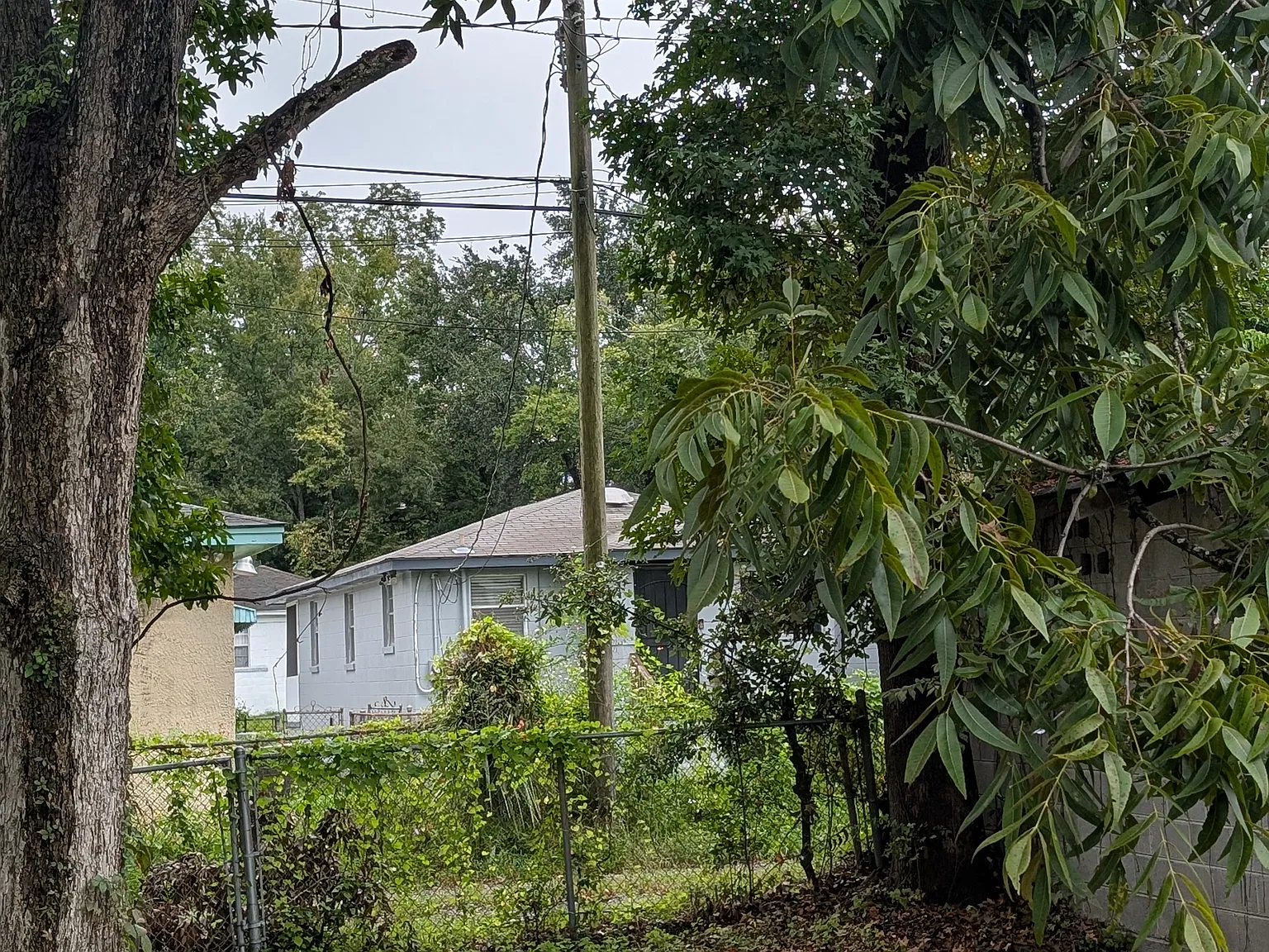 2 bed, 750 sqft, $1,600 — Photo 4