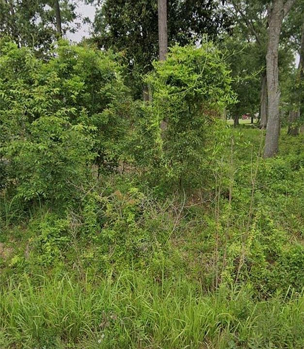 1st image of 0 Easy Way St Lot 2