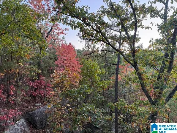 0 Quarry Rd #0, Gadsden, AL 35905