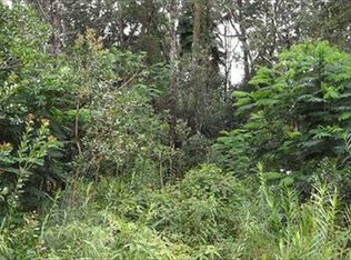 Hinalea St LOT 8, Pahoa, HI 96778