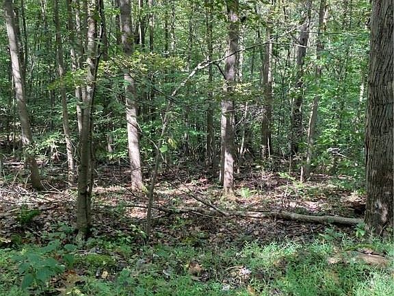 5th image of 0 Township Road 660