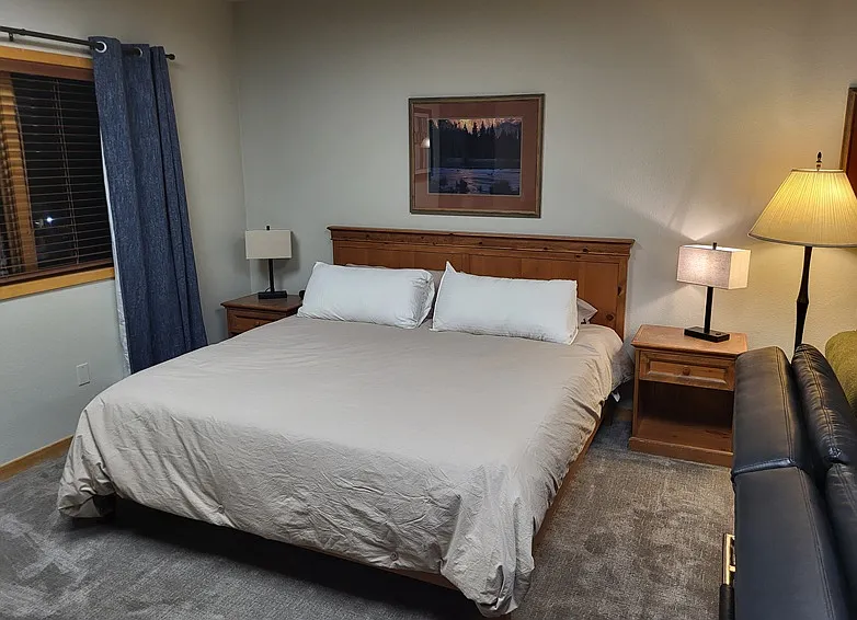 Studio, 615 sqft, $1,500 — Photo 4