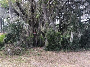 3056 Paddle Creek Dr, Green Cove Springs, FL 32043
