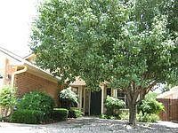 1st image of 239 Oak Hill Dr