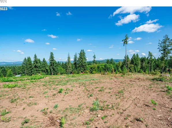 0 S Silver Lake Rd #6, Castle Rock, WA 98611