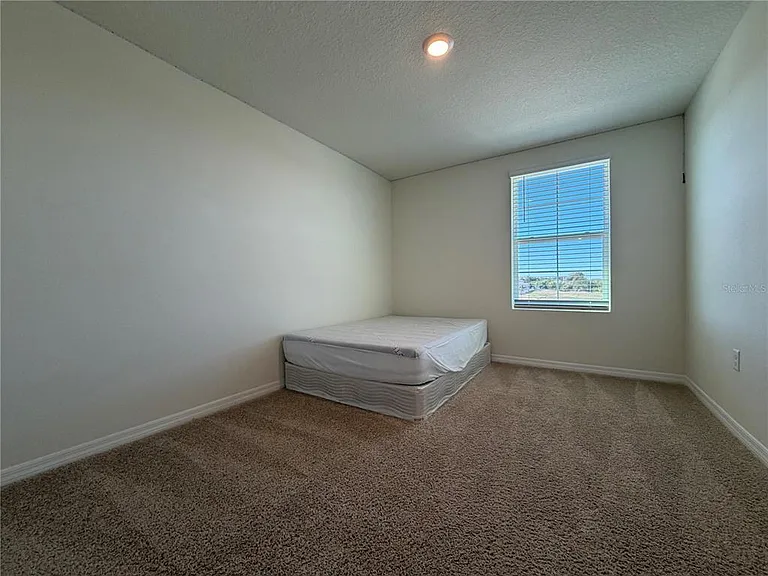 12072 Downy Birch Dr — Photo 22