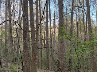 2 Anns Ln, Hayesville, NC 28904