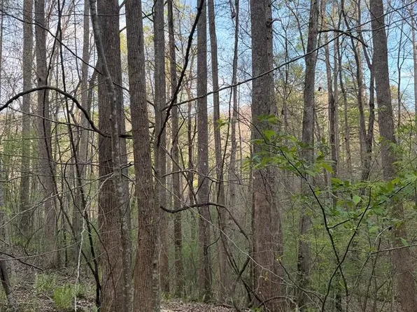 2 Anns Ln, Hayesville, NC 28904