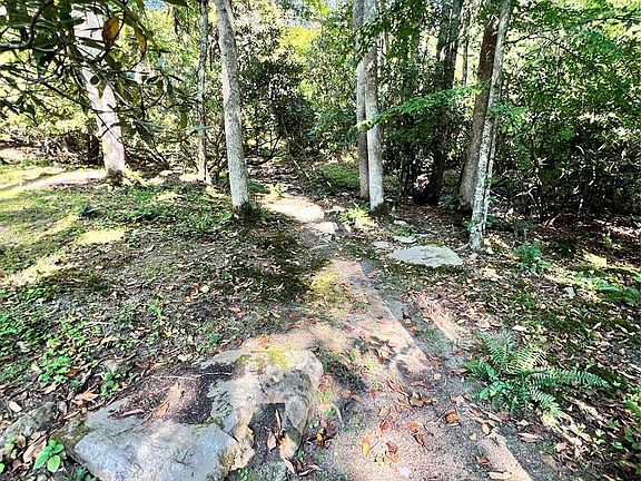 5th image of 0 Battle Branch Rd