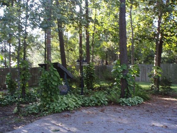 2nd image of 1619 Scenic Mountain Ct
