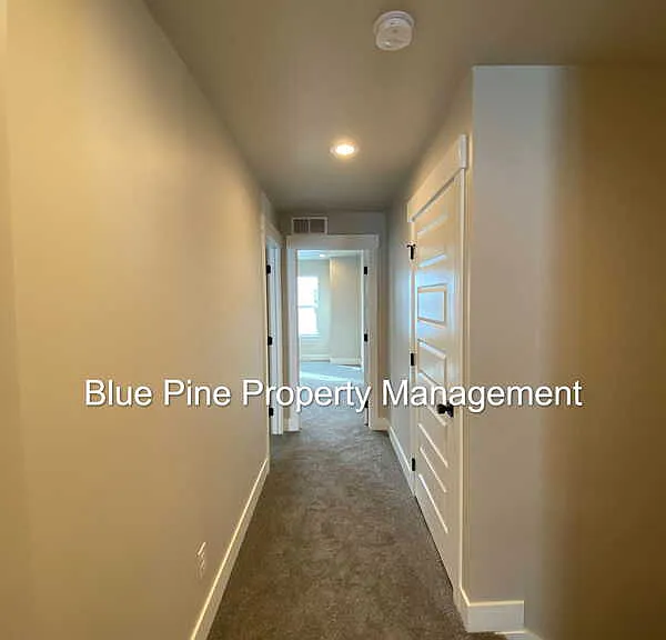 2890 Sunburst Dr — Photo 12