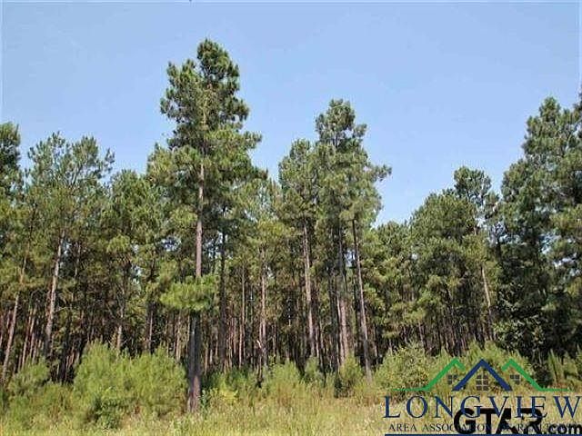 1st image of Fm 2869