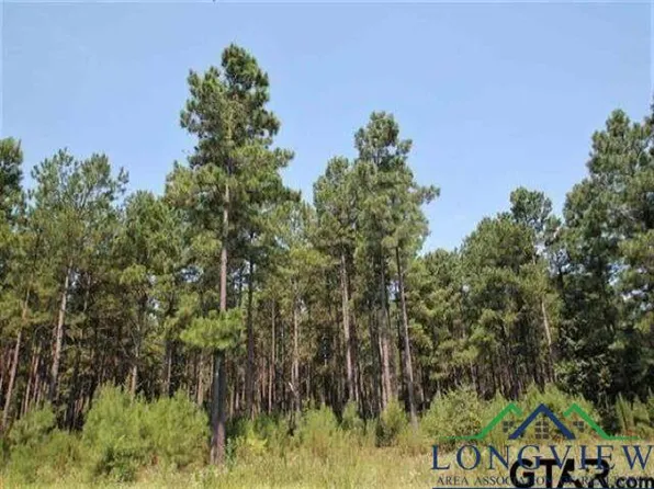 Fm 2869, Hawkins, TX 75765