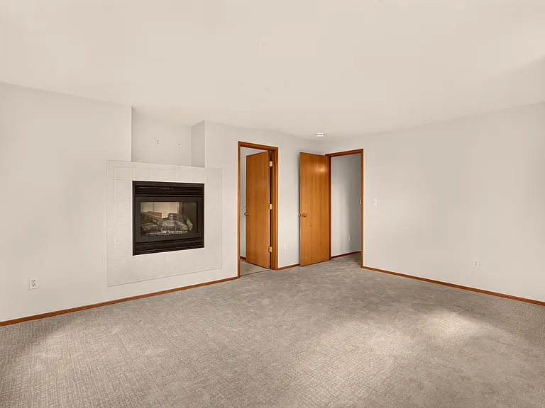 See through gas fireplace