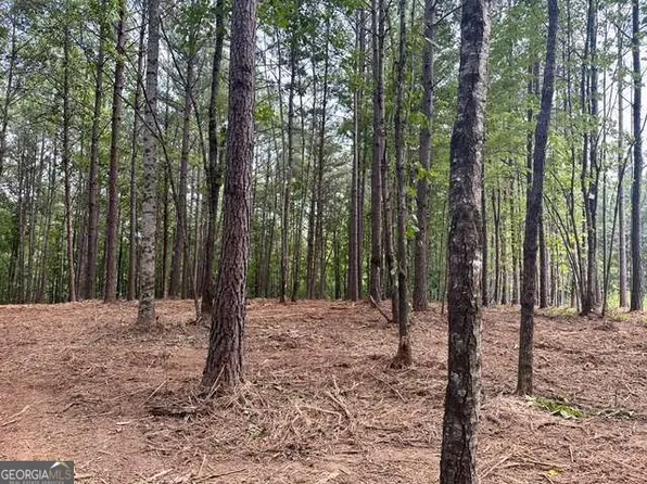 130 Patriot View Dr, Dahlonega, GA 30533
