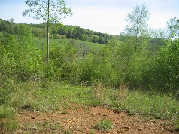 654 Silverleaf Rd, Dugspur, VA 24325