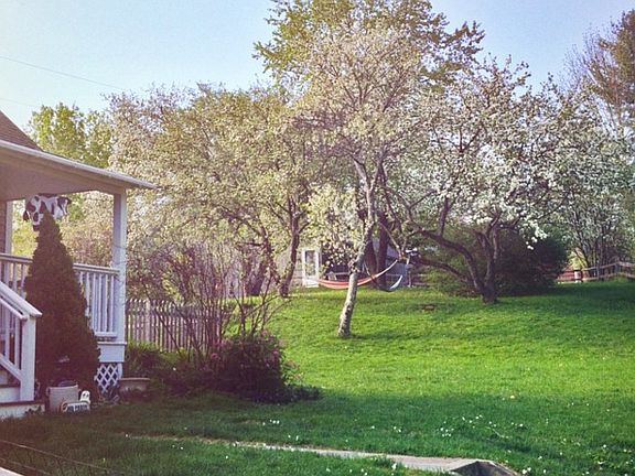 Apple and Cherry Trees
