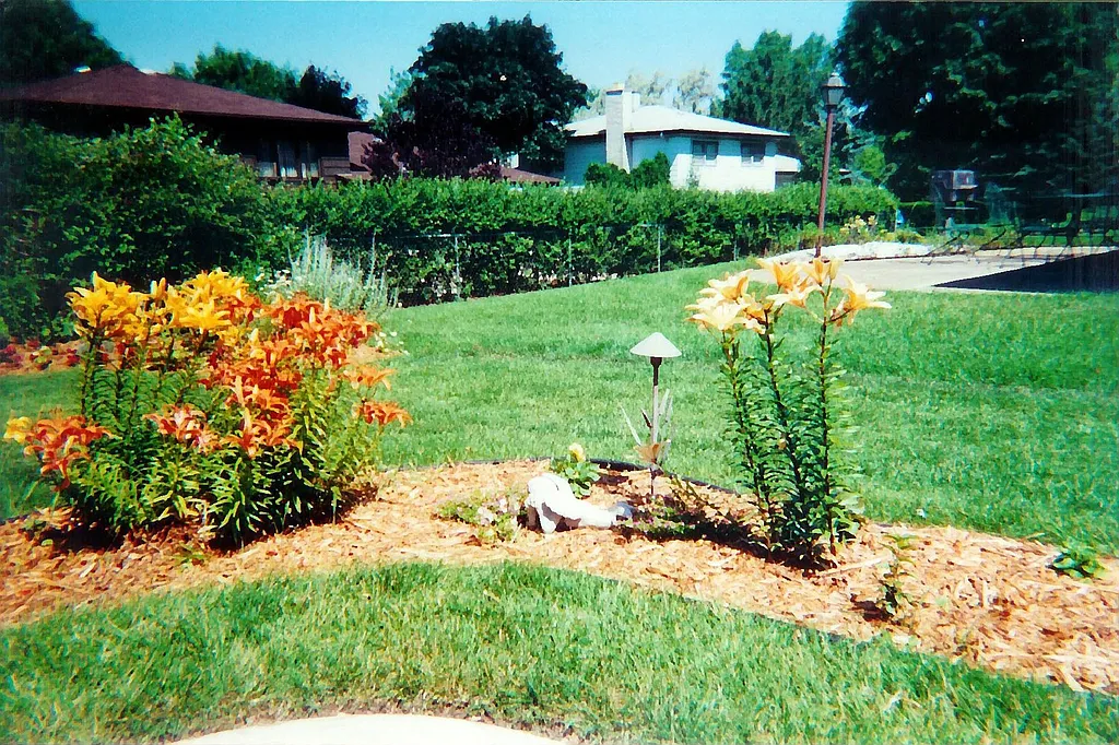 Property photo 3