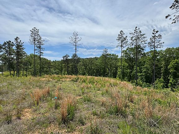 4th image of LOT 243 Spear Point Dr