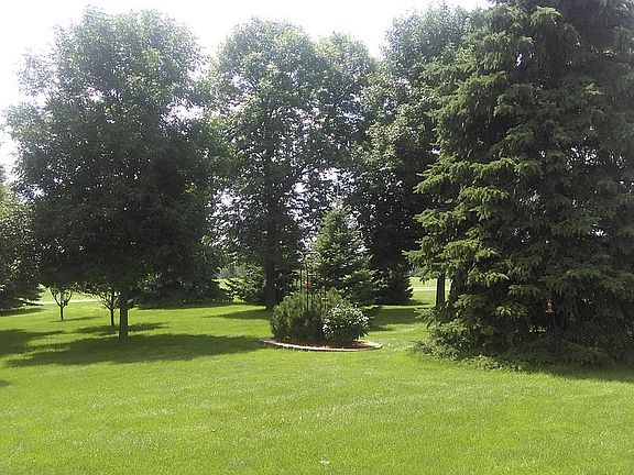 Front yard