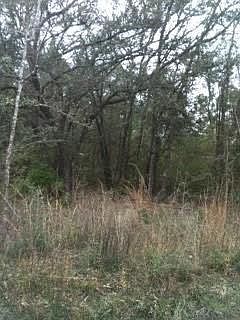 1st image of Jackson Dr