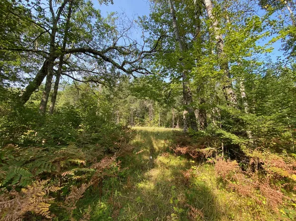 Xxxx Lake Ave, McGregor, MN 55760