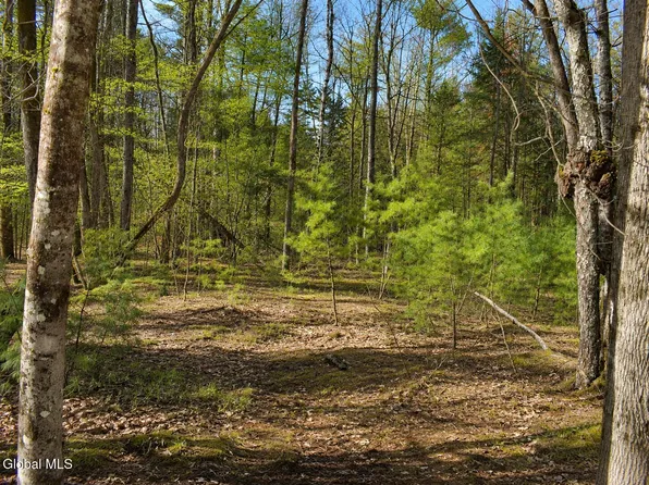 L96 Highview Lane Lot 12, Wevertown, NY 12886