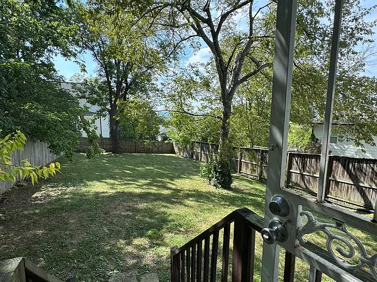 back yard
