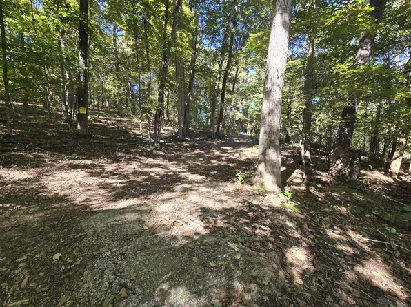 3774 Needmore Rd, Princeton, KY 42445