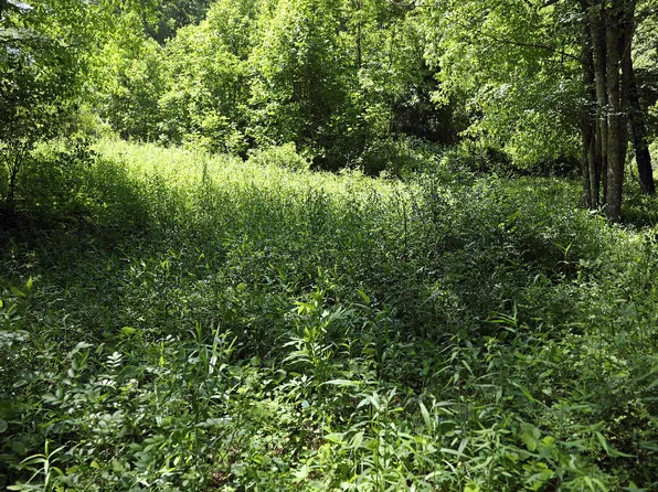 5224 Us Highway 321, Butler, TN 37640
