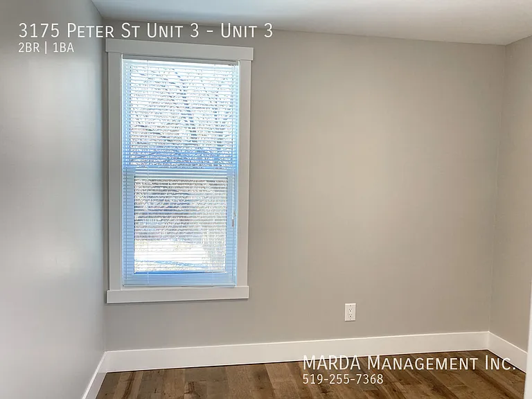 3175 Peter St #3 — Photo 11