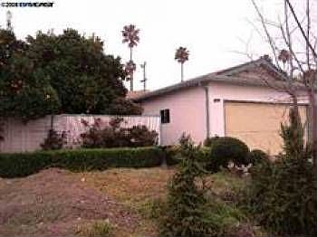 1st image of 5363 Coco Palm Dr
