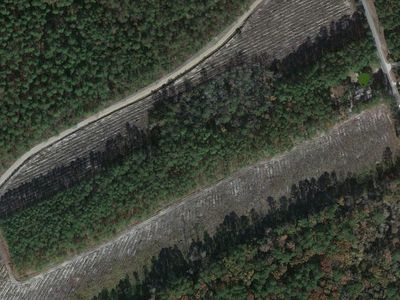 TBD South Island Rd., Georgetown, SC, 29440