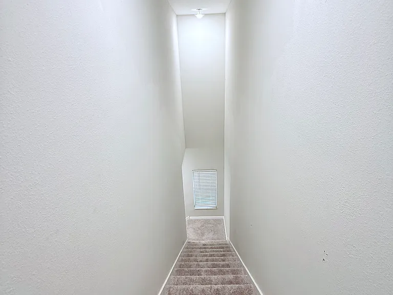 7109 Amelia Cove Ct — Photo 8
