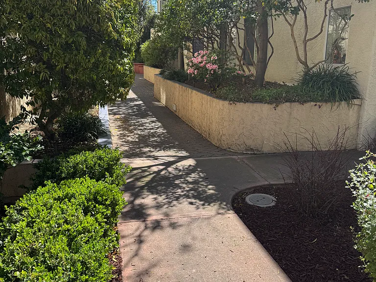Park Blvd — Photo 15