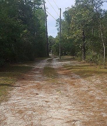 3rd image of 4646 N Orange Grove Dr