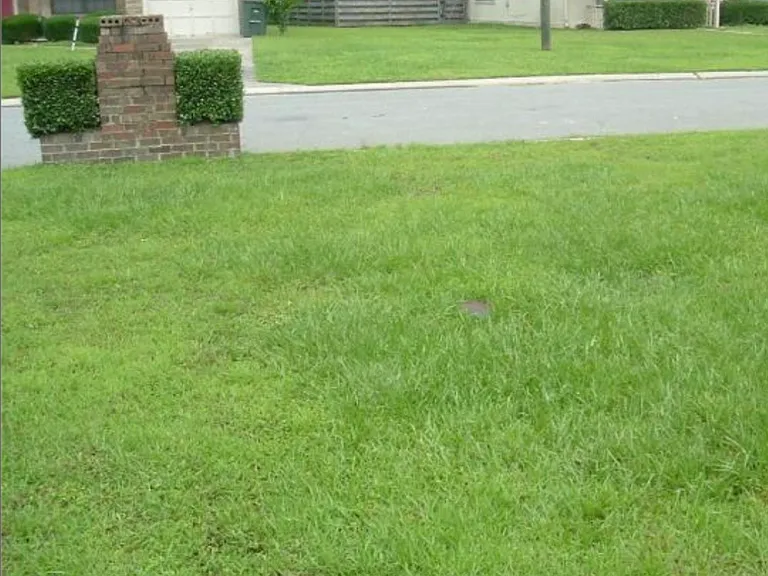663 Windhaven Dr — Photo 14