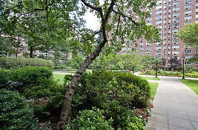 1st image of 345 W 58th St APT 4N