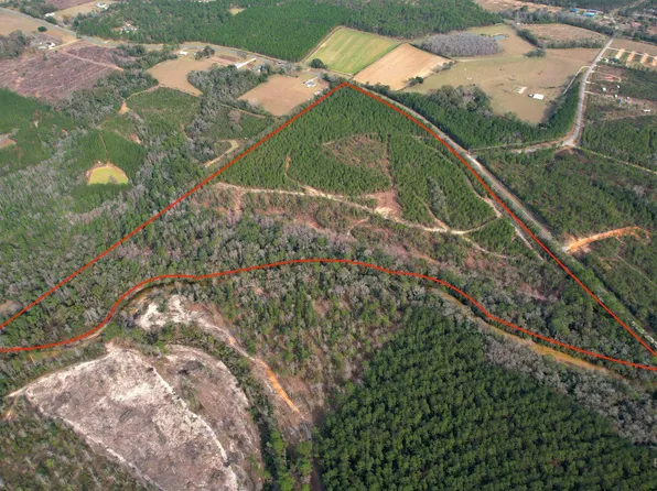 County Road 64 Grand Riv, Robertsdale, AL 36567