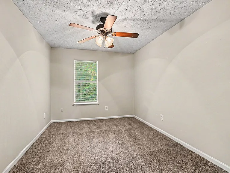 3892 Conley Downs Ln — Photo 12
