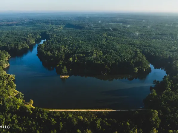Clara Foote Rd, Braxton, MS 39044