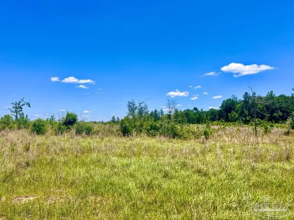 LOT-13C Cotton Lake Rd, Molino, FL 32577