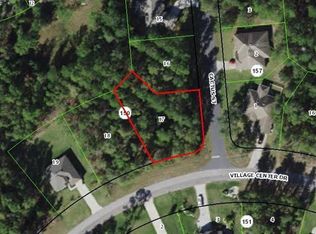 60 Village Center Dr, Homosassa, FL 34446