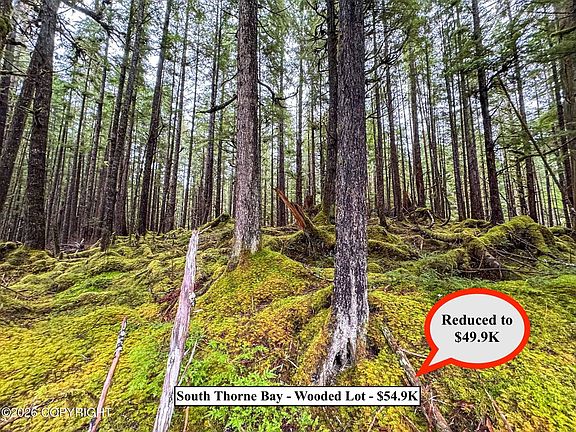 4th image of Lot10b18 Steep Rd