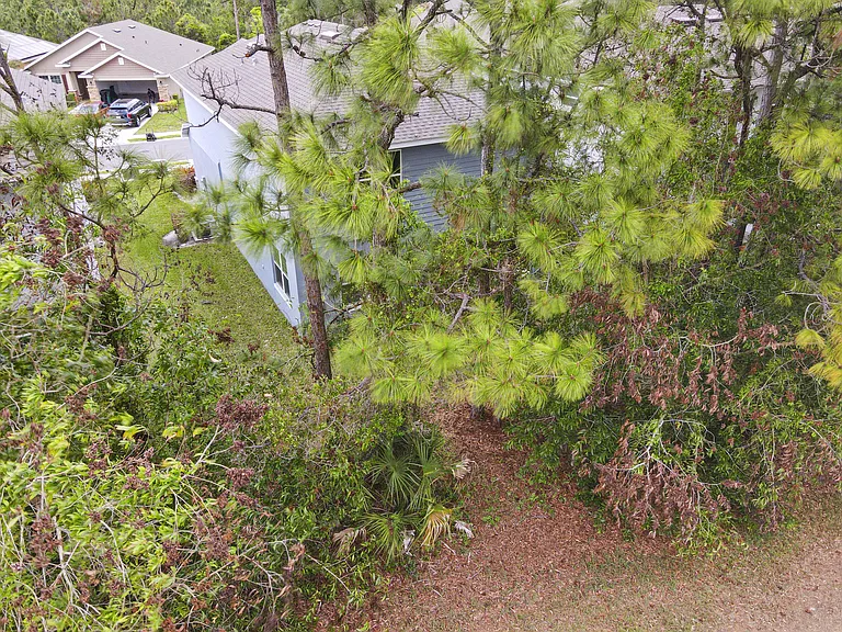 692 NE Turtleback Trl — Photo 67
