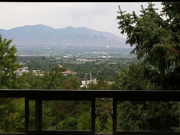 View from kitchen island