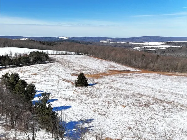 17 Kimble Rd, Beaver Dams, NY 14812